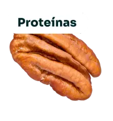 Nuez pecana con la etiqueta Proteínas
